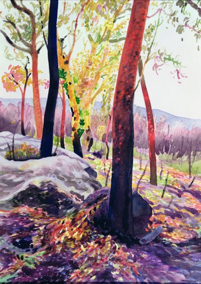 Bush Fire Survivors, Sydney by Robert Tyndall